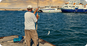Deep Sea Fishing