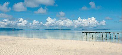 Nadi