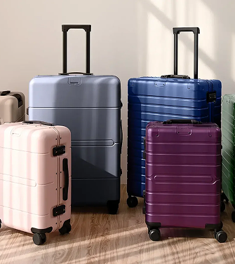 Pre-Purchased Additional Baggage